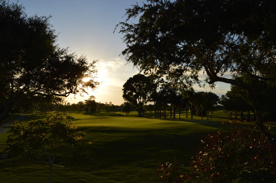 Late-day light through trees behind Village Golf Club’s 13th green.