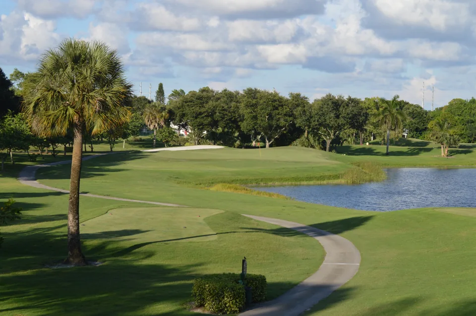 Palm trees and the waterside 14th hole at Village Golf Club.