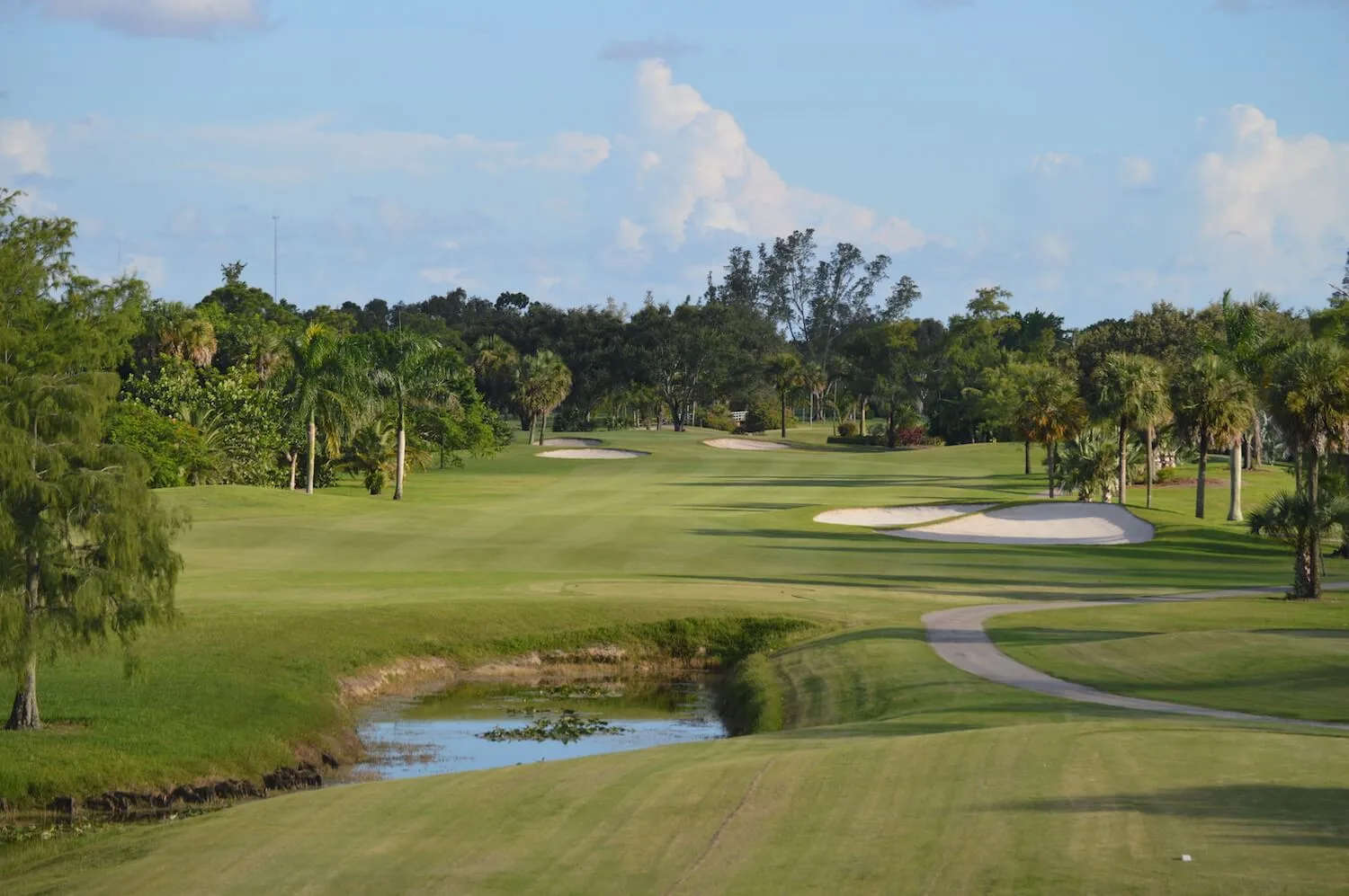 Palms, pond, curving cart path and bunkers at Village Golf Club